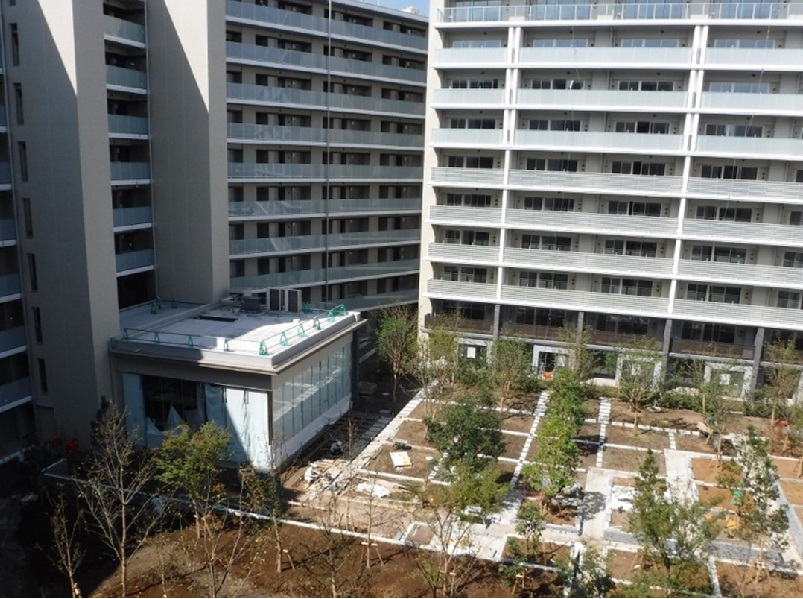 辻堂2