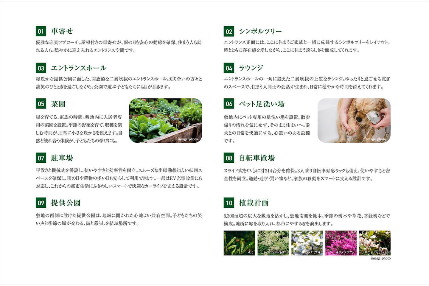 image photo