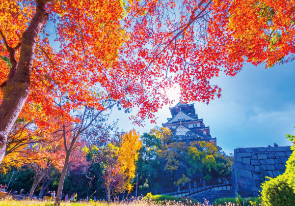 大阪城公園・紅葉（秋）(徒歩9分/約660m)