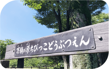 万騎が原ちびっこ動物園（約5.51km）