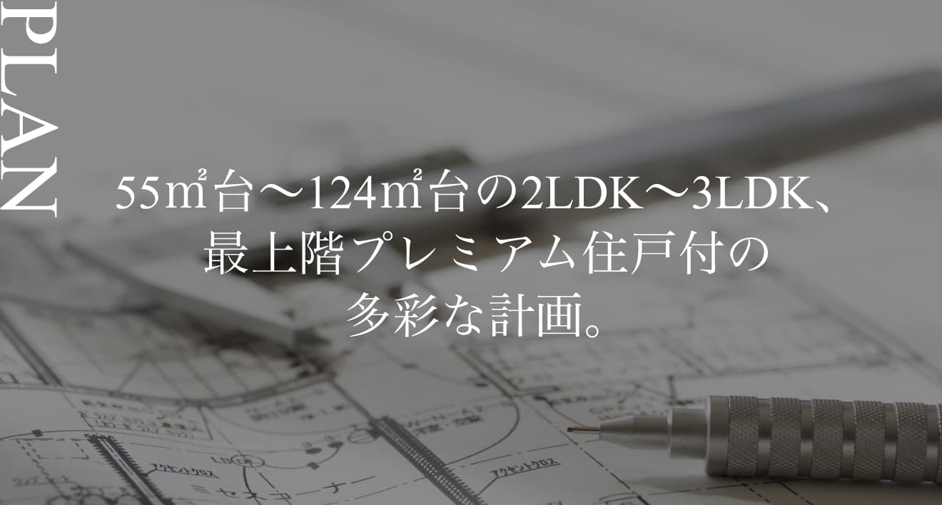 image photo