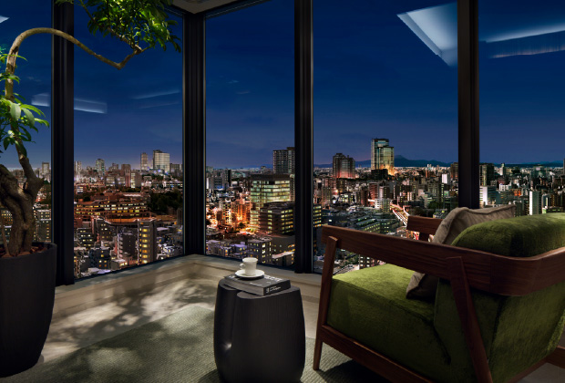 view