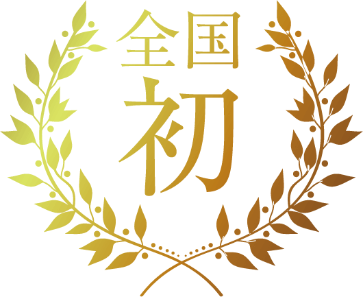 全国初