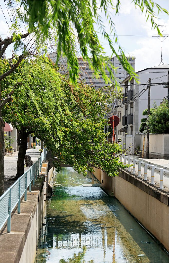 四十谷川イメージ