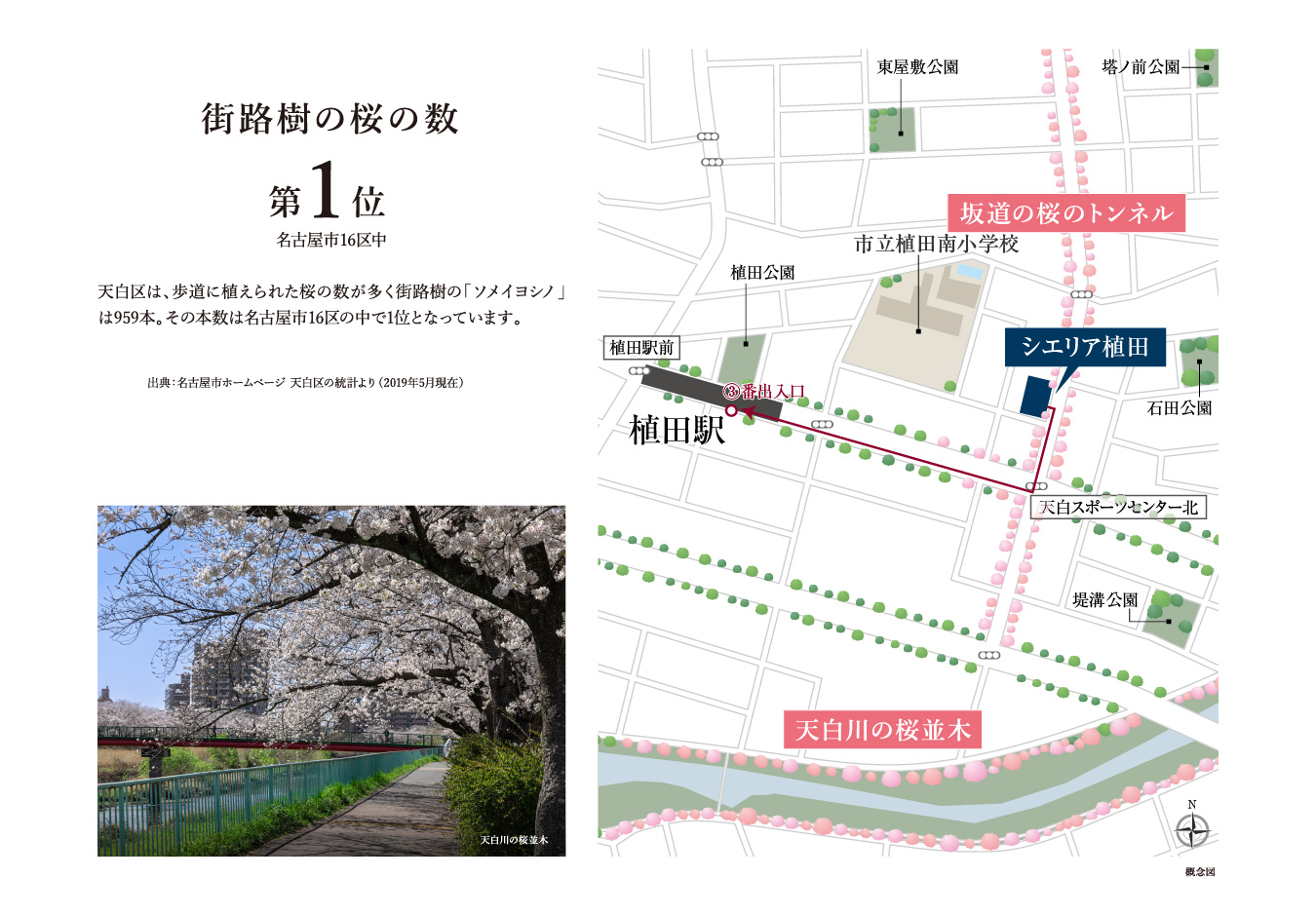 街路樹の桜の数 第1位 名古屋市16区中